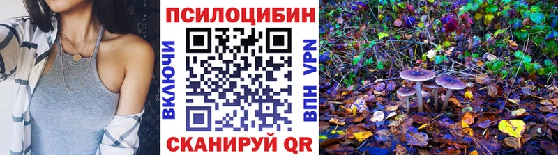 купить наркотики сайты  Рославль  Псилоцибиновые грибы прущие грибы 
