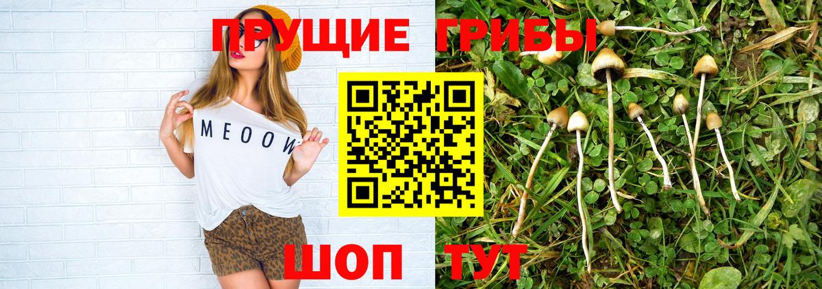 Рославль  Галлюциногенные грибы прущие грибы  Вход с VPN 